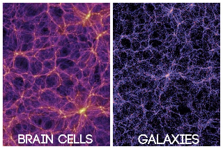 Human brain compared to galaxies
